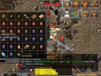 单职业传奇道士宝宝选择攻略：不同阶段的最佳搭配